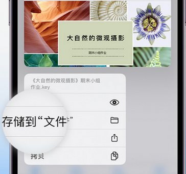 曲阳apple维修中心分享iPhone文件应用中存储和找到下载文件