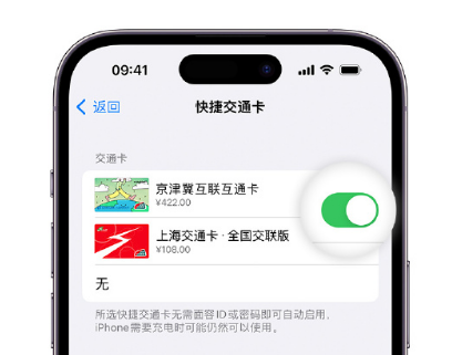 曲阳apple维修点分享iPhone上更换Apple Pay快捷交通卡手绘卡面 