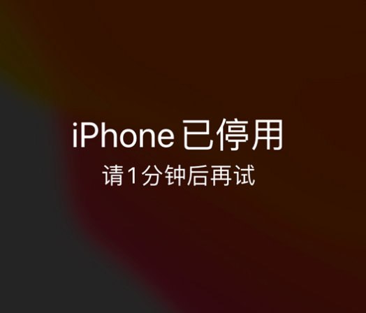 曲阳苹果手机维修分享:iPhone 显示“不可用”或“已停用”怎么办？还能保留数据吗？ 