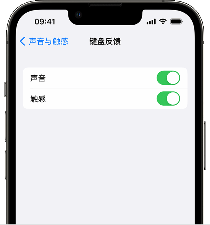 曲阳苹果14维修店分享如何在 iPhone 14 机型中使用触感键盘 