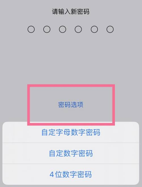 曲阳苹果14维修分享iPhone 14plus设置密码的方法 