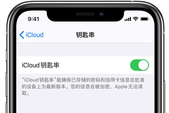 曲阳苹果手机维修分享在 iPhone 上开启 iCloud 钥匙串之后会储存哪些信息 