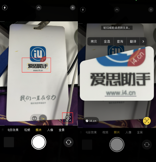 曲阳苹果手机维修分享升级iOS 16后如何通过相机翻译文本 