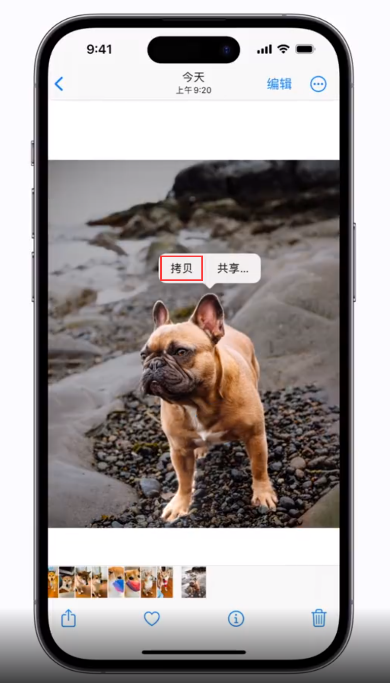 曲阳苹果手机维修分享 iOS 16 自带一键抠图功能 