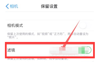 曲阳苹果13维修分享iPhone13拍照有绿点是怎么回事 