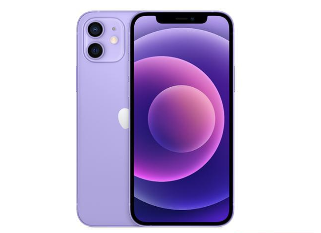 曲阳苹果手机维修分享现阶段要不要入手紫色版iPhone12 