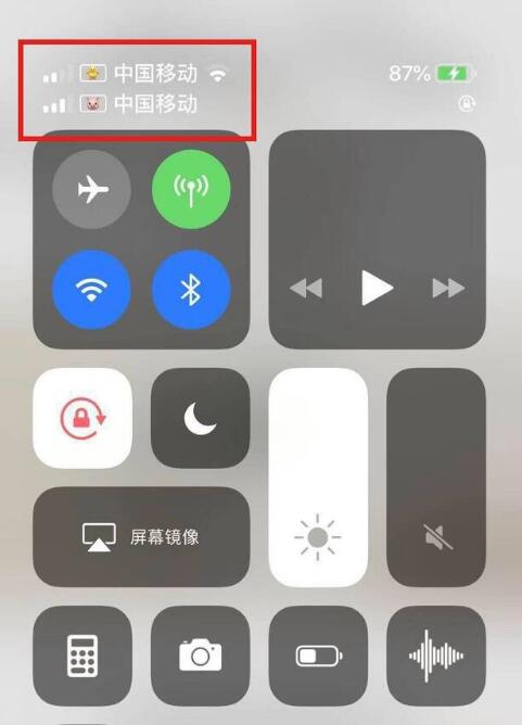 曲阳苹果手机维修分享为 iPhone 12 双卡设置标签 